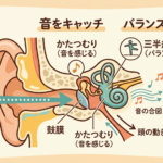 「また耳が詰まってきた…」を繰り返している方への詳細へ