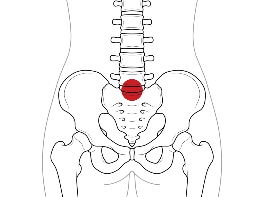 腰椎5番と仙椎のあいだ（赤い印）。腰の背骨のいちばん下と、骨盤の中央にある骨との継ぎ目