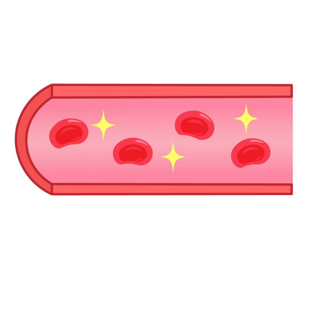 血管の中を流れる赤血球のイラスト