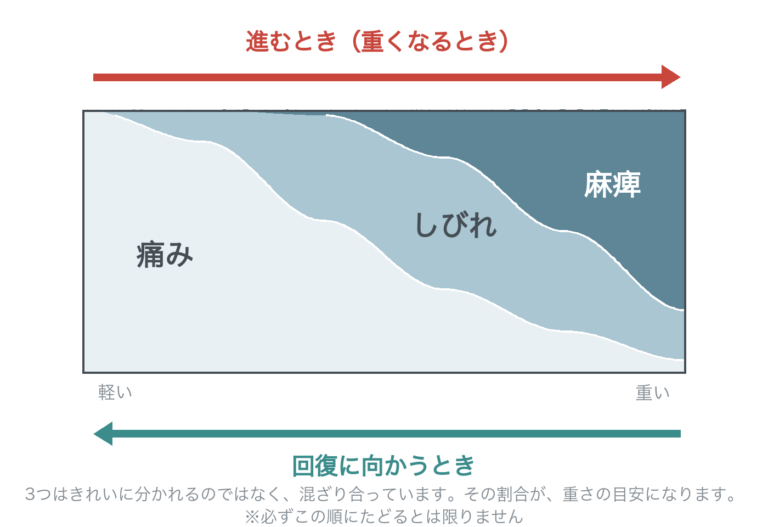 横軸に進行と回復をとり、痛み・しびれ・麻痺の割合が変わっていくことを示した図
