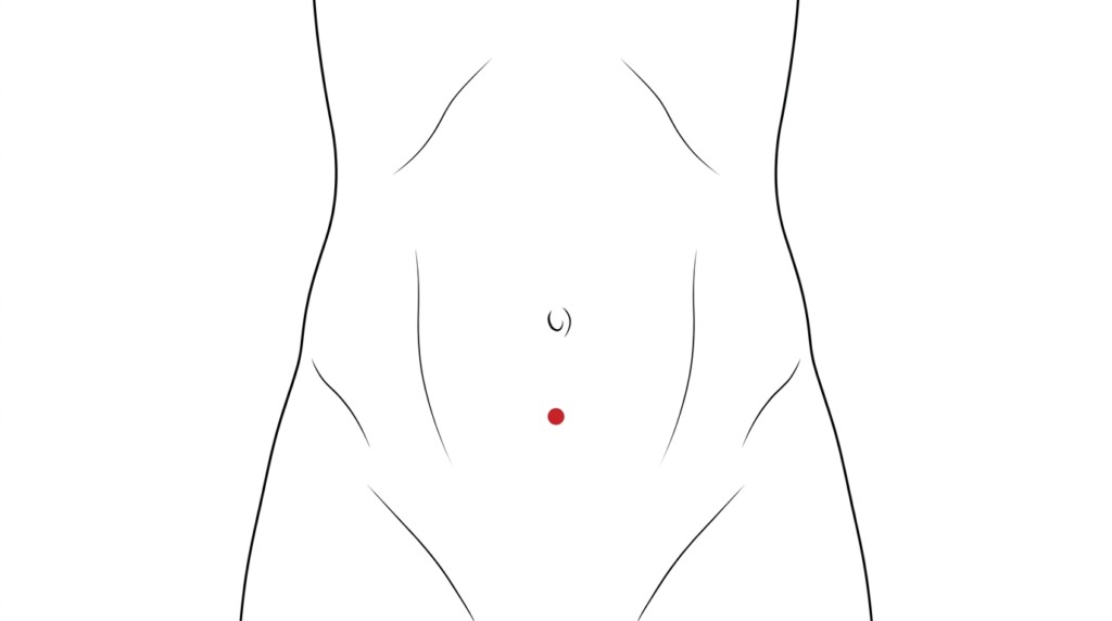 気海の位置を示した図