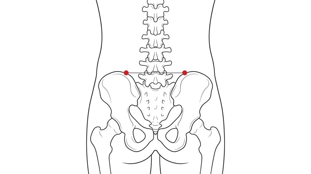 大腸兪の位置を示した図
